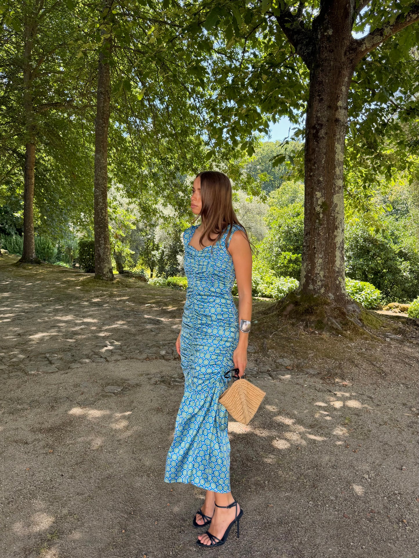 Charlotte Printed Dress