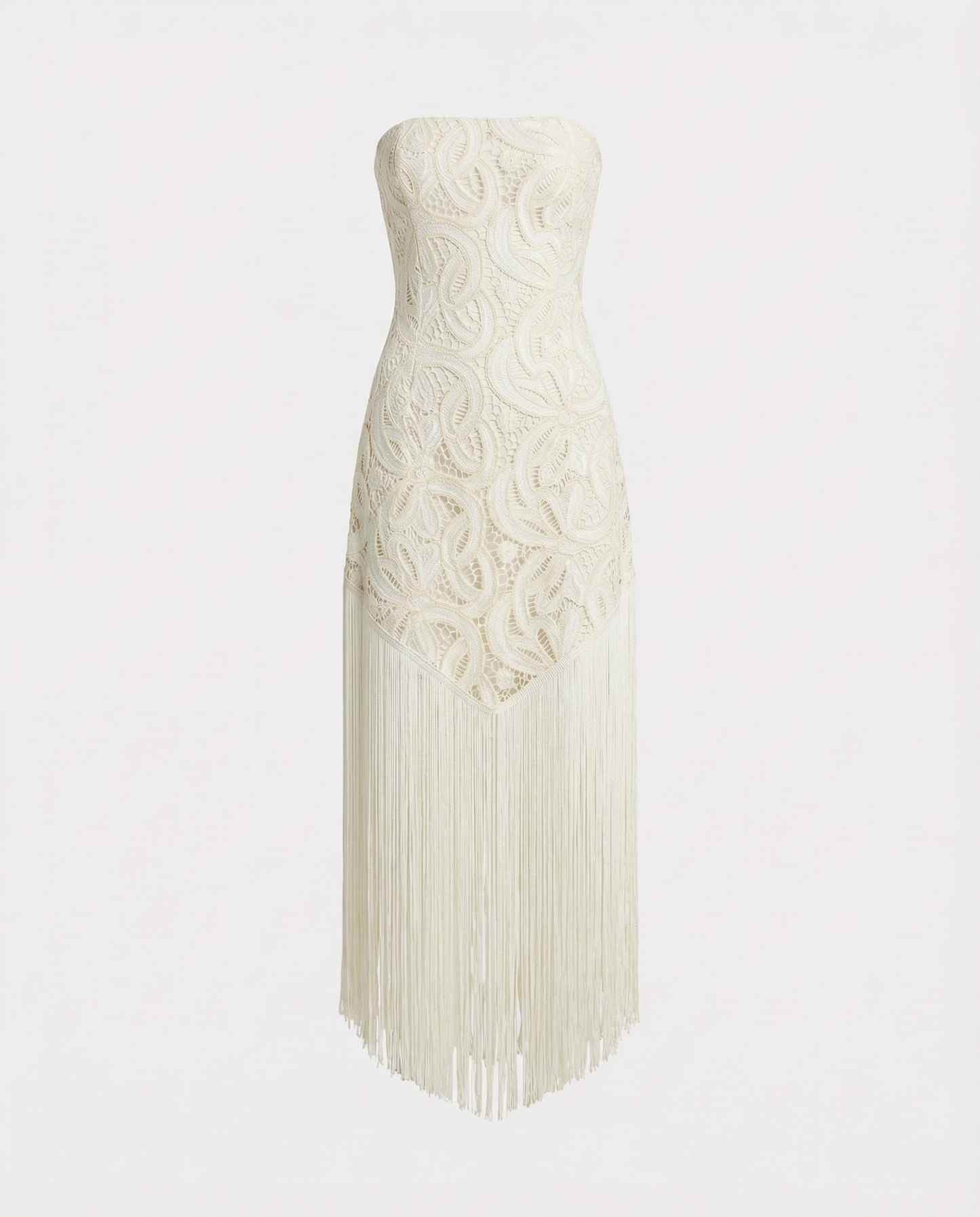 Lace Fringed Dress
